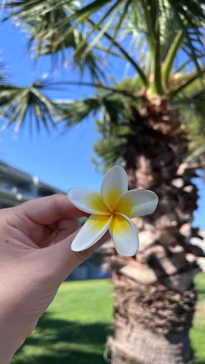 Gartenanlage Rodos Princess Beach Hotel & Spa