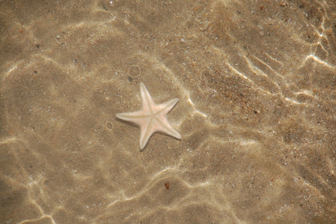 Seestern Hane Family Resort