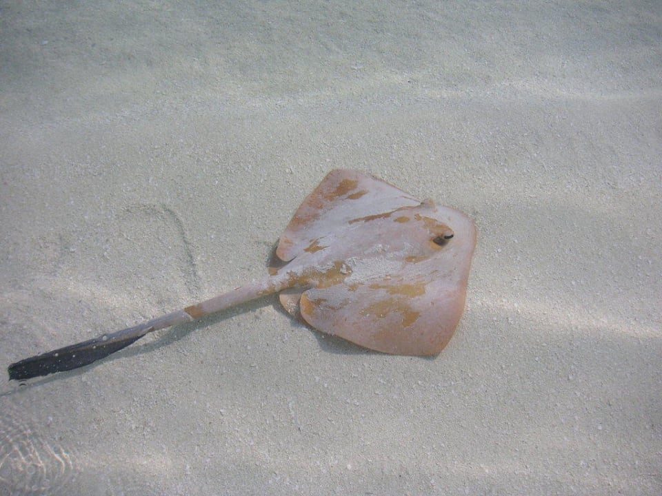 Rochen Villa Park Sun Island