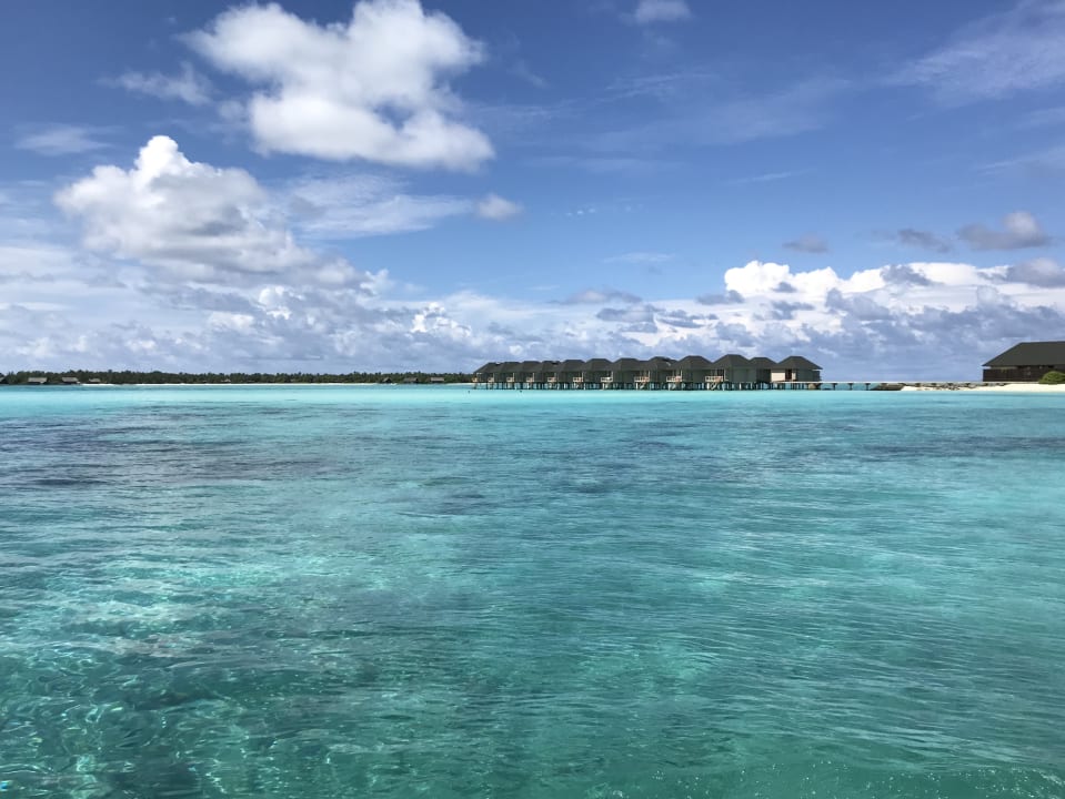 Ausblick Summer Island Maldives