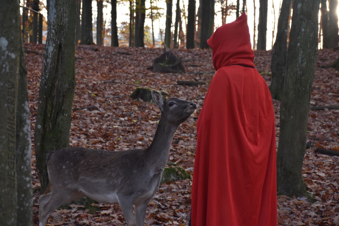 Sonstiges Natur-Resort Tripsdrill