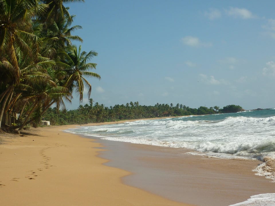 Ausblick vom Strandgrundstück ( links ) Villa Safira Ayurveda Residence