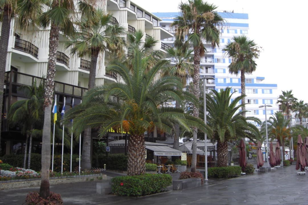 Hoteleingang Hotel ValleMar