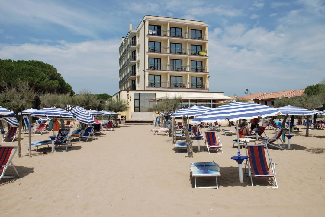 Hotel mit Liegen Hotel Fenix