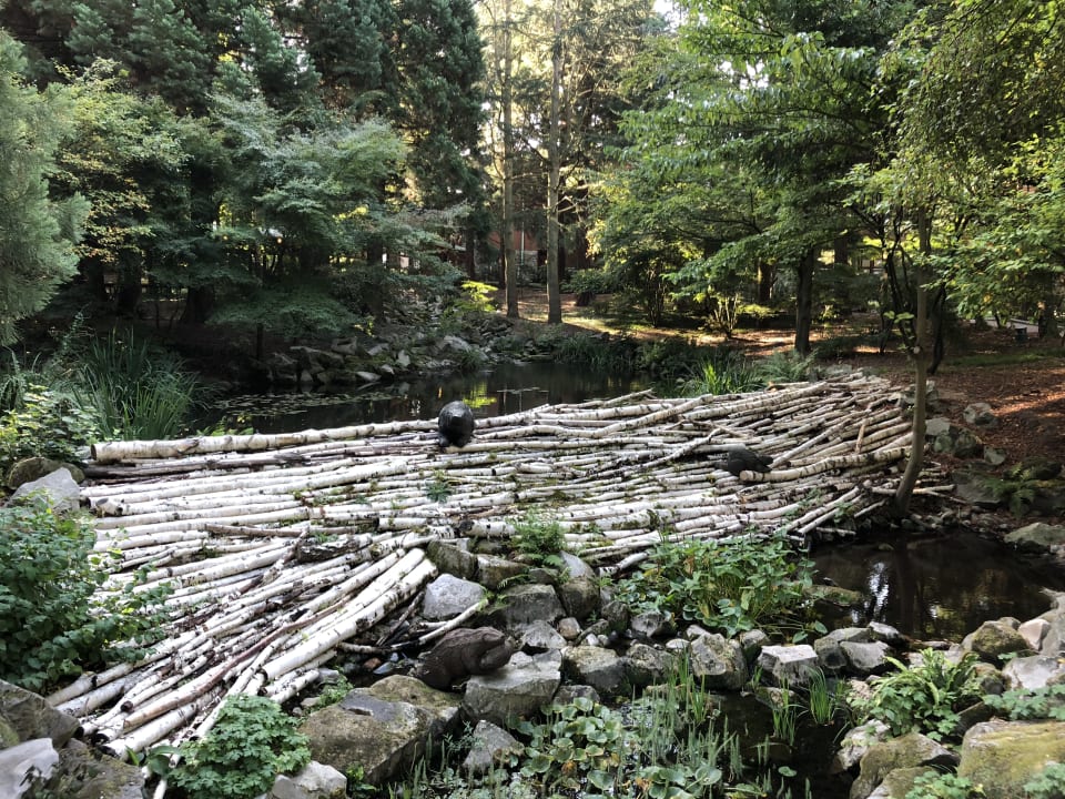 Gartenanlage Disney's Sequoia Lodge
