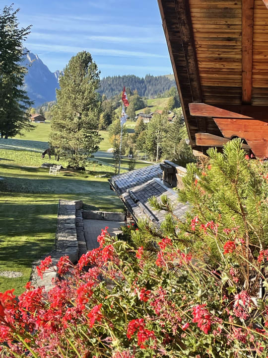 Ausblick MAISON HORNBERG