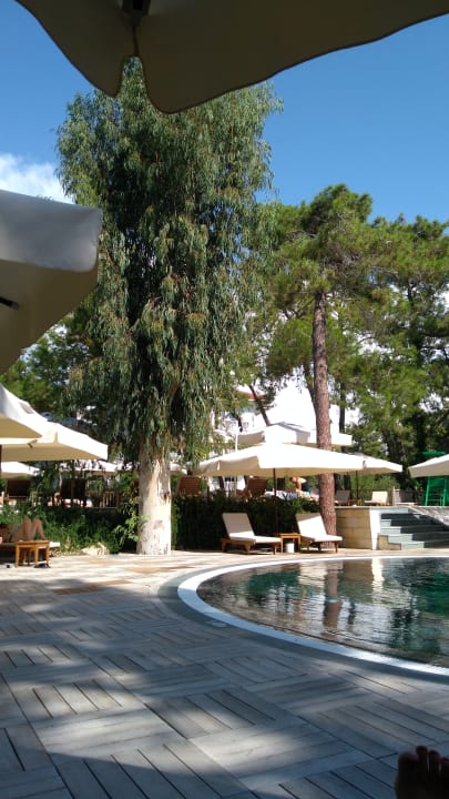 Pool Ali Bey Resort Sorgun