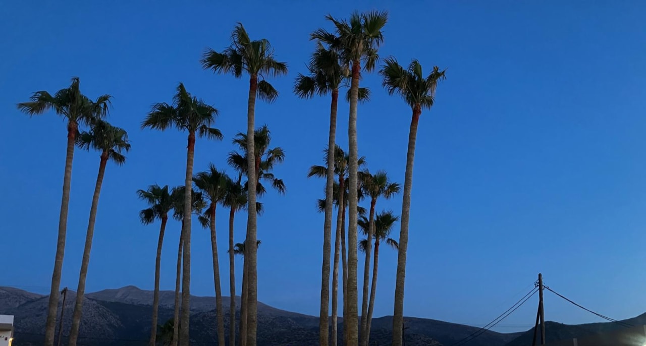 Gartenanlage allsun Hotel Carolina Mare