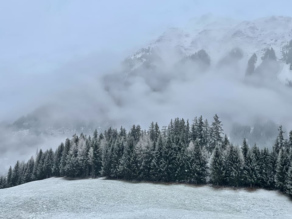 Ausblick Erlebnisort Gassenhof