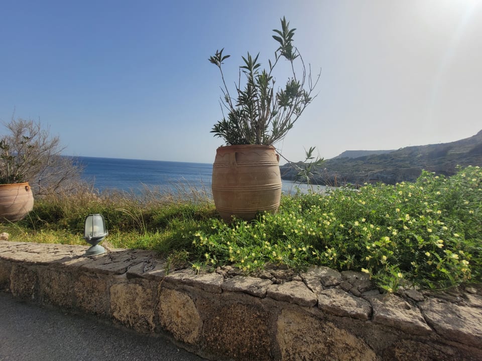 Gartenanlage Hotel Kalithea Horizon Royal