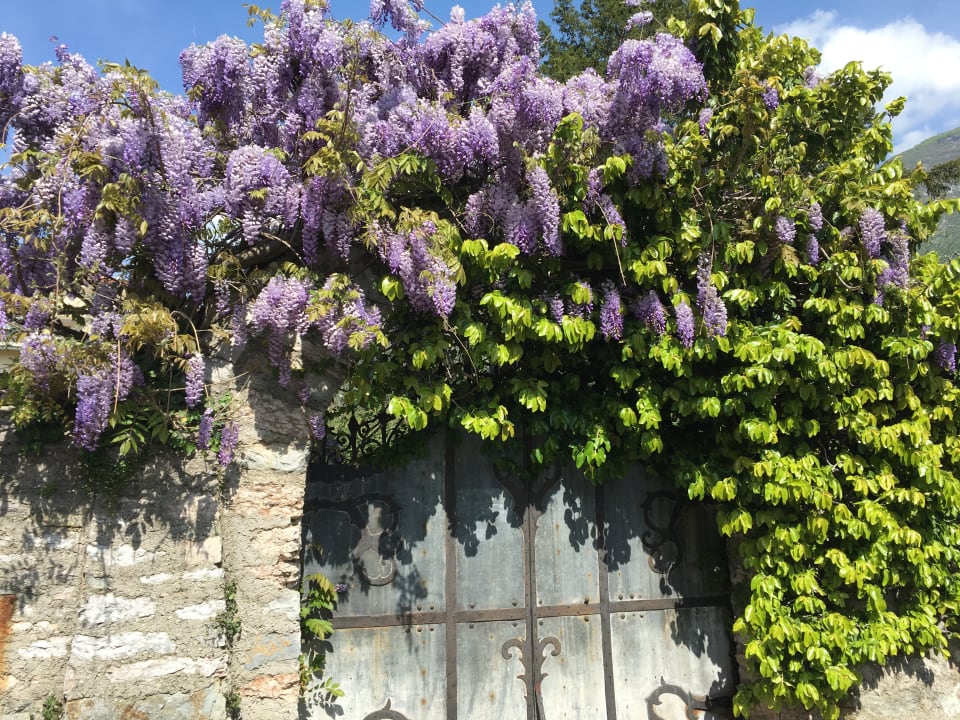 Sonstiges Beach Hotel Rosa