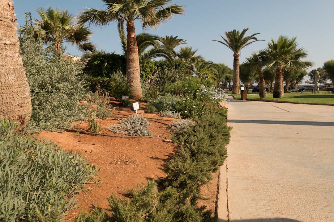Gartenanlage Anissa Beach & Village