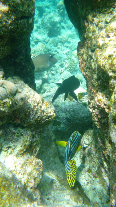 Sonstiges NH Collection Maldives Reethi Resort