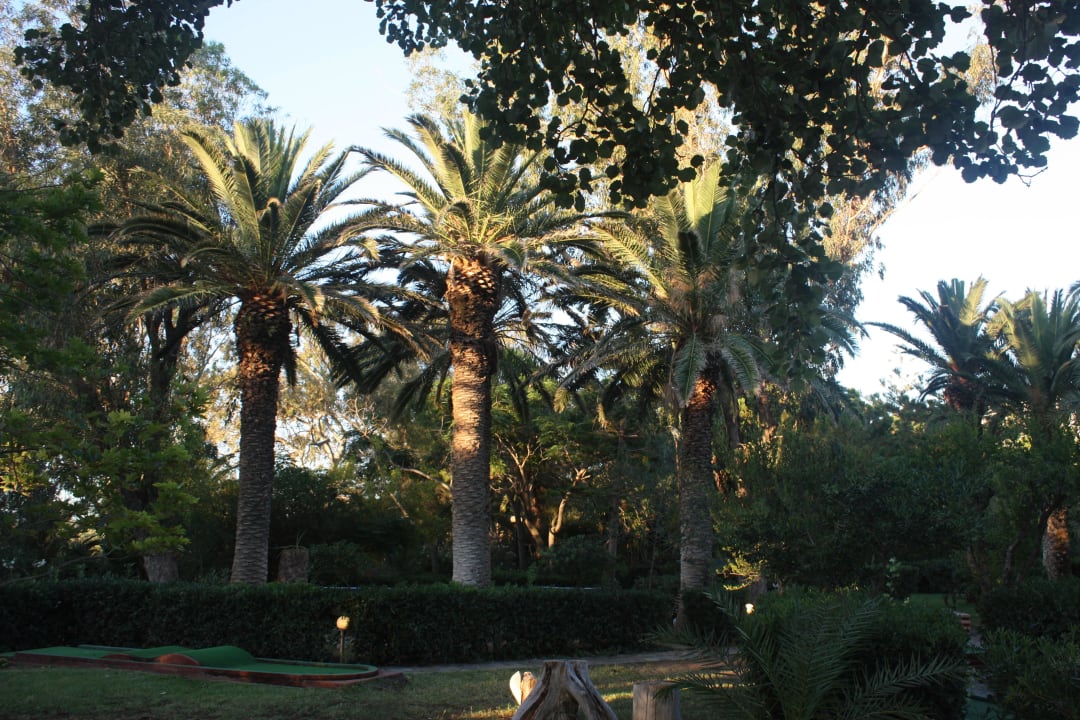 Kein Titel  Apollonia Beach Resort & Spa
