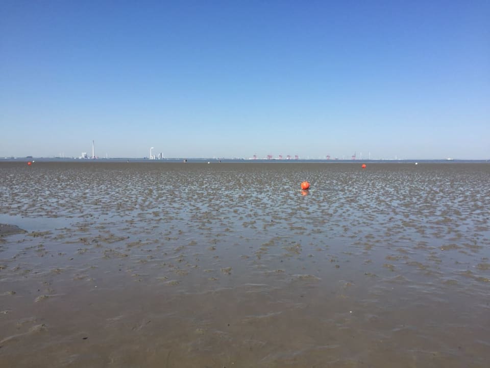 Blick aufs Watt Center Parcs Park Nordseeküste