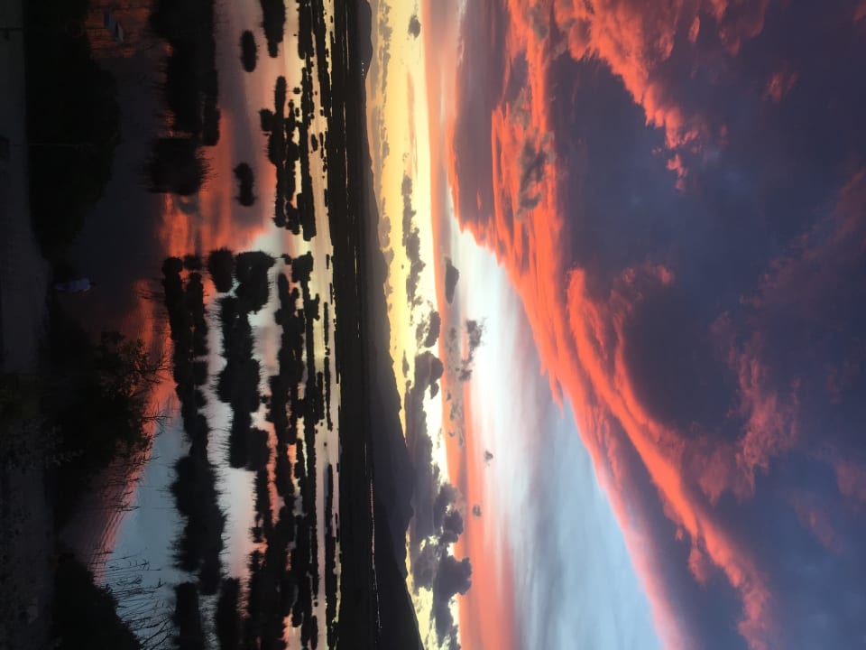 Ausblick Prinsotel La Dorada