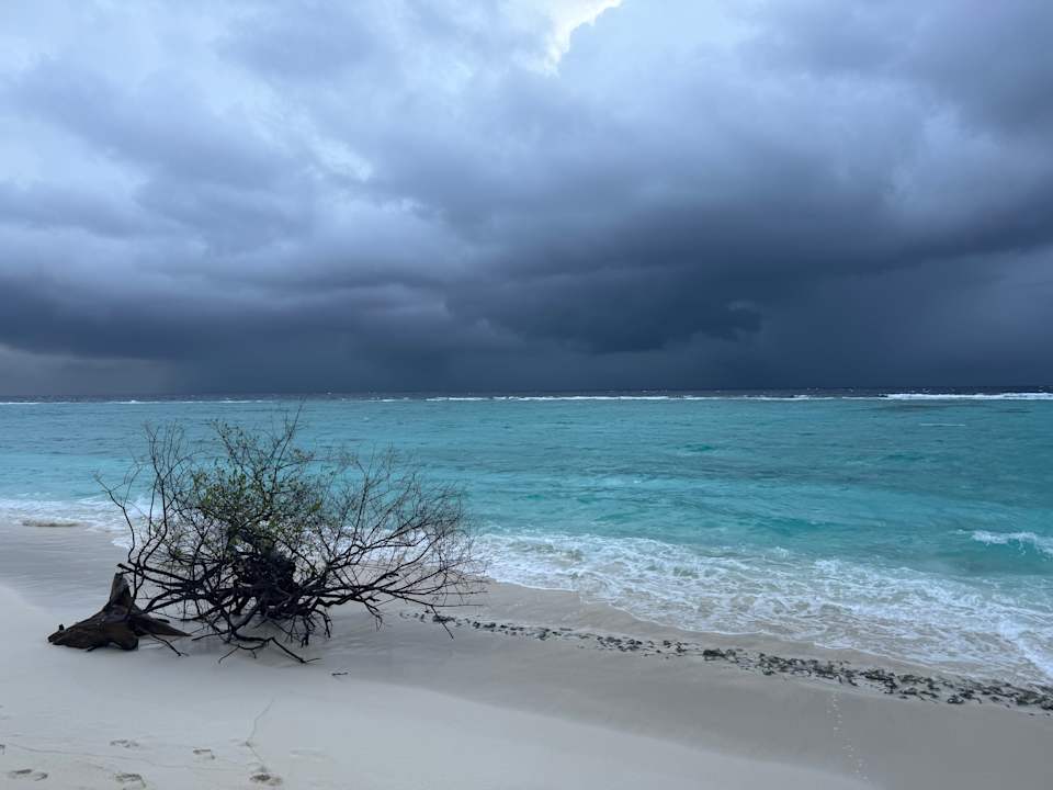 Strand Ifuru Island Maldives