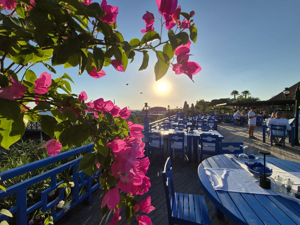 Sonstiges Starlight Resort Hotel