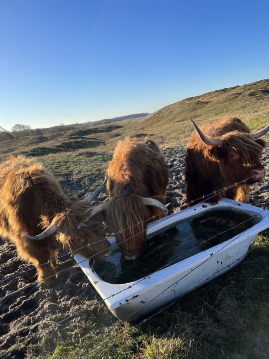 Sonstiges Ferienwohnungen Ferienpark Weissenhäuser Strand