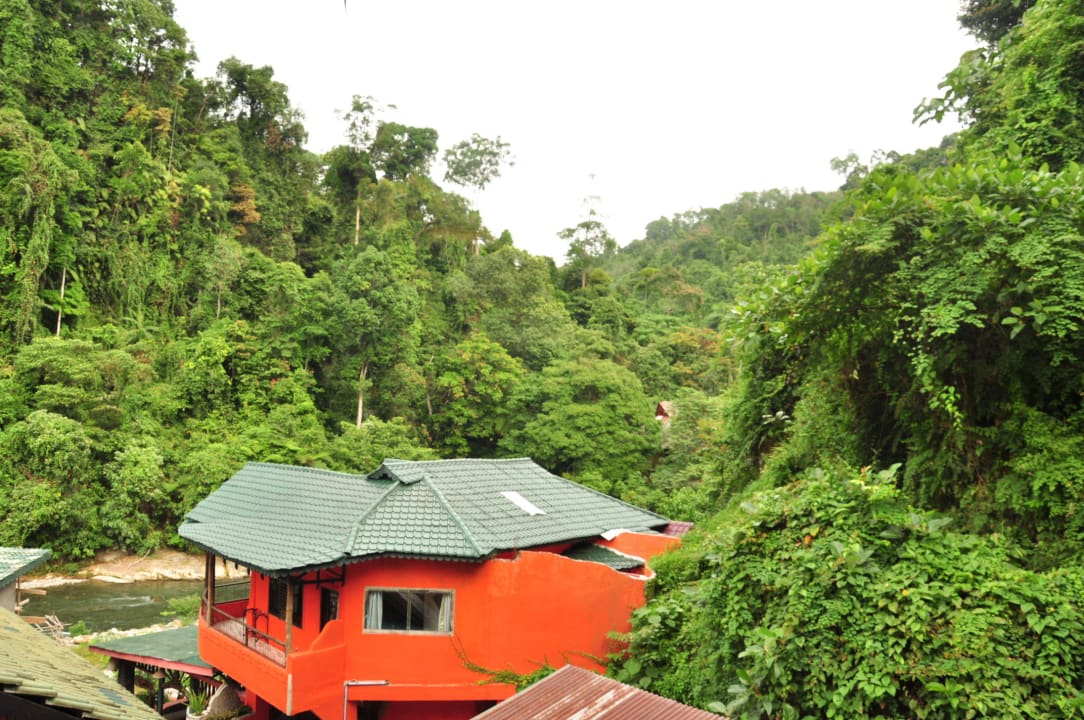 Blick von der Honeymoon Suite Hotel Jungle Inn