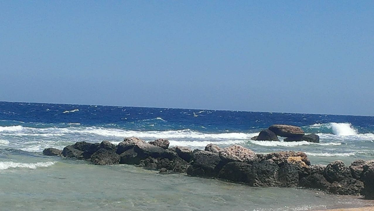 Wellengang Pickalbatros Citadel Resort