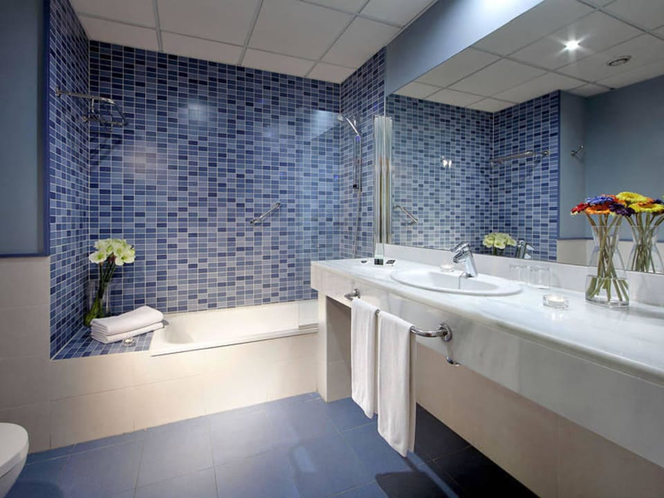 Baño Hotel Exe Sevilla Palmera