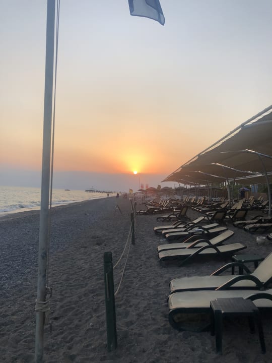 Strand Crystal Family Comfort Collection