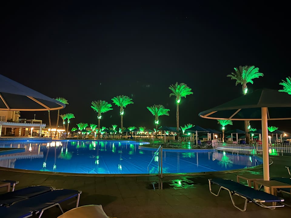 Pool Beach Albatros Resort