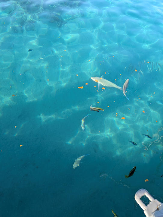 Sonstiges JAZ Belvedere Resort