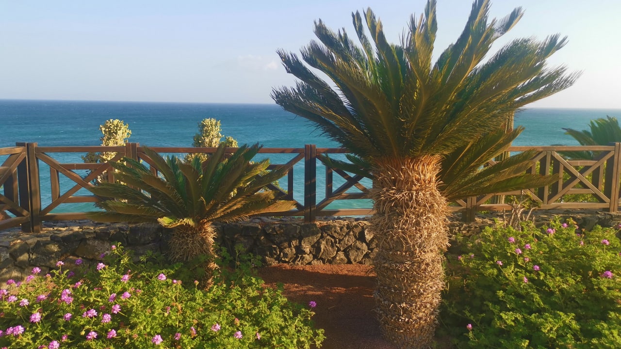 Gartenanlage R2 Pajara Beach