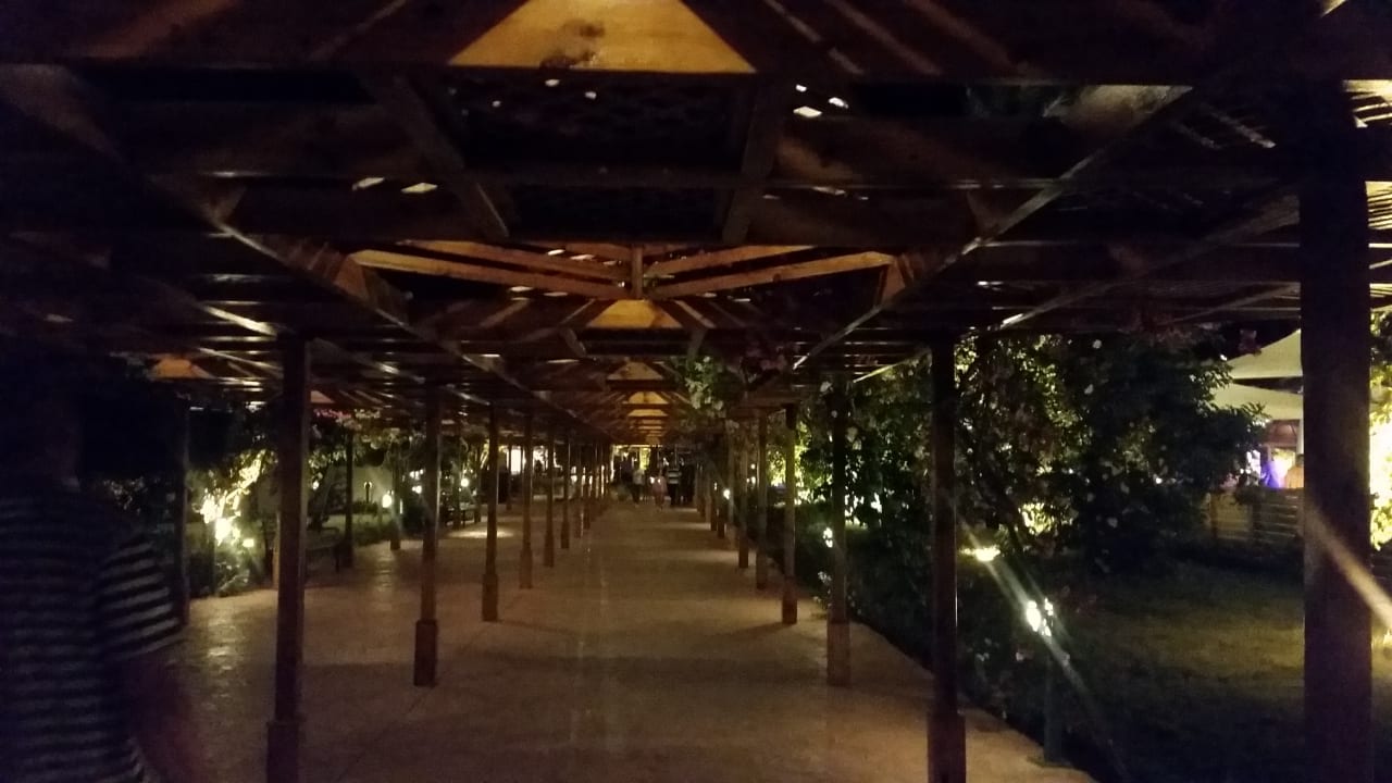 Gartenanlage Desert Rose