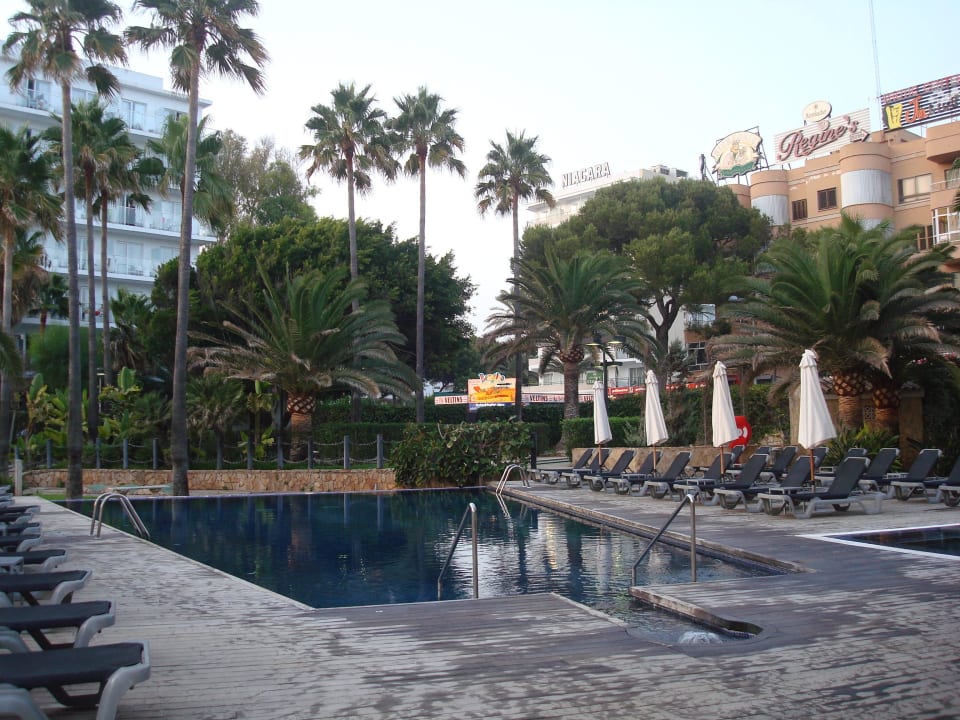 Pool Hotel Playa Golf