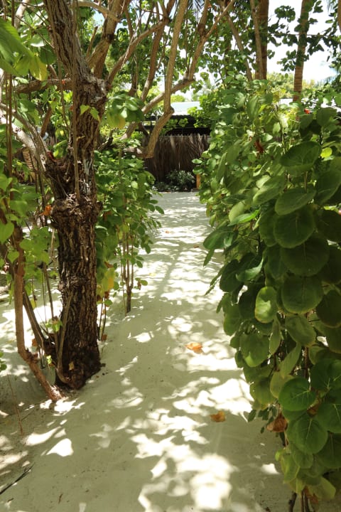 Weg Bungi 111 Kihaa Maldives