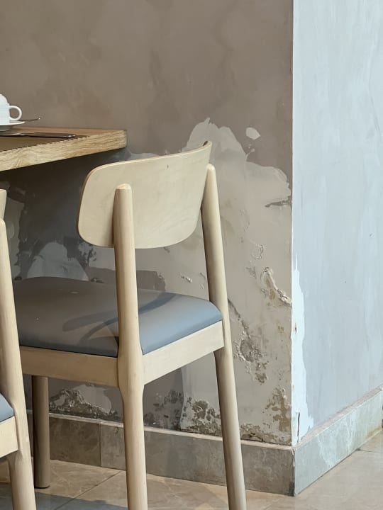 Gastro Acanthus Cennet Barut Collection