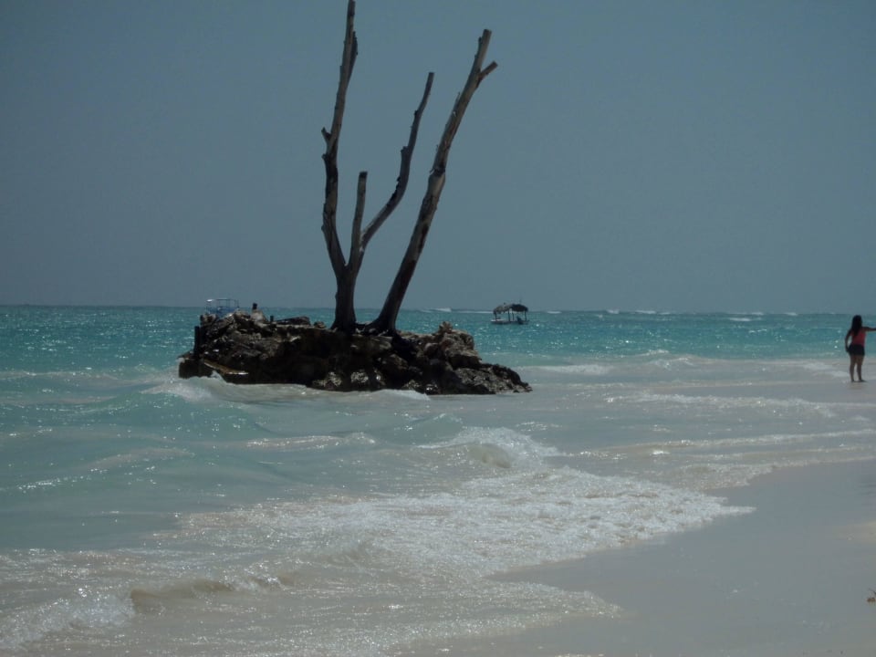 Morgens TRS Turquesa Hotel - Adults only