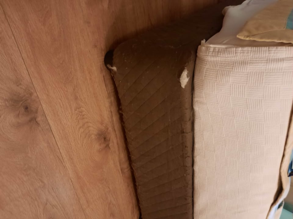 Zimmer Dg Hotels Rose Resort