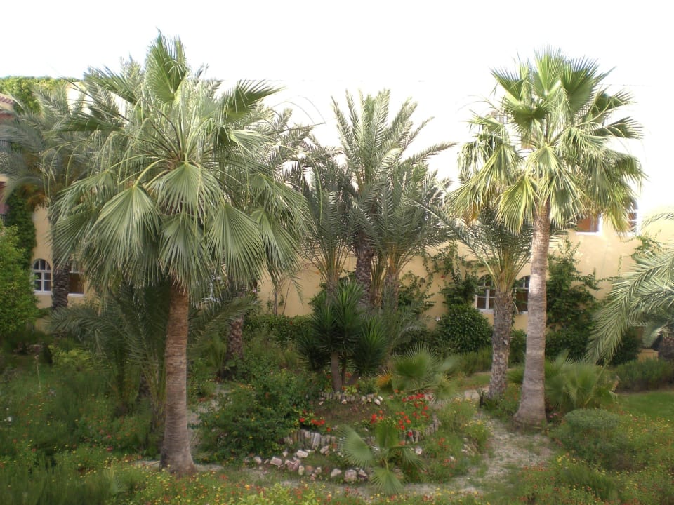 Gartenanlage Houda Golf & Beach Club