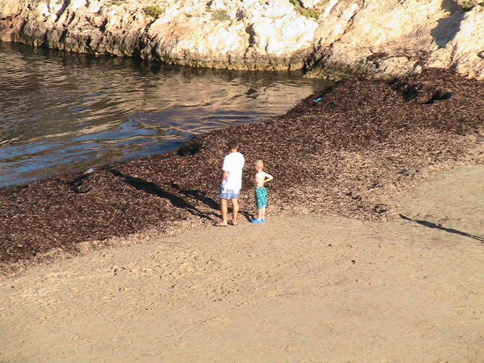 Keine Bademöglichkeit Barceló Portinatx - Adults only