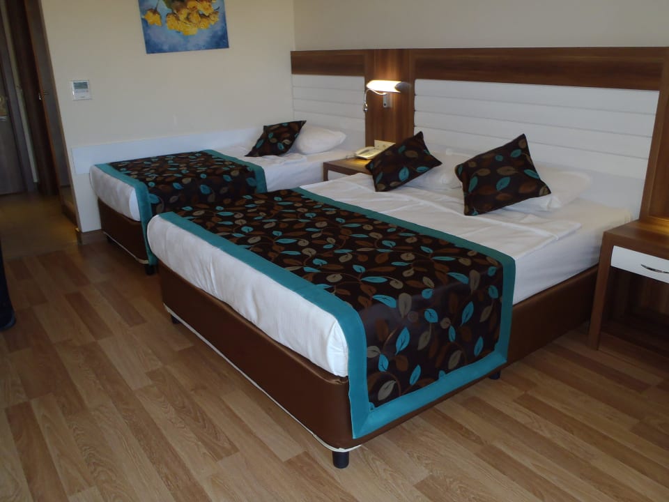 Bett Dizalya Palm Garden