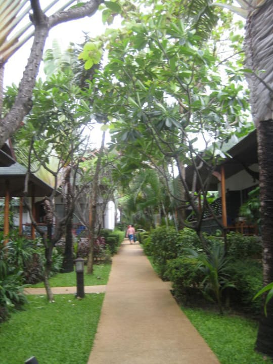 Weg zu den Bungalows Banana Fan Sea Resort