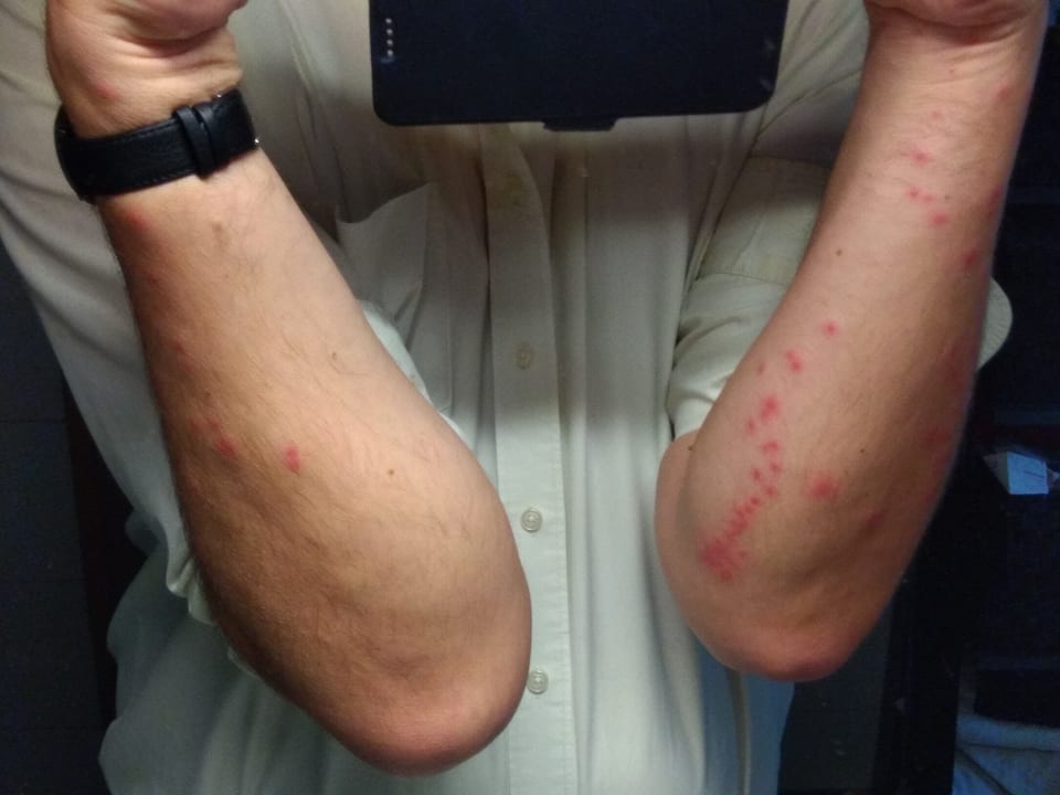 Zimmer Steigenberger Hotel Bad Homburg