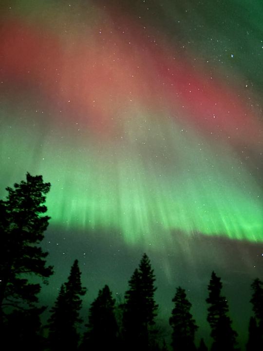 Ausblick Northern Lights Village Saariselkä