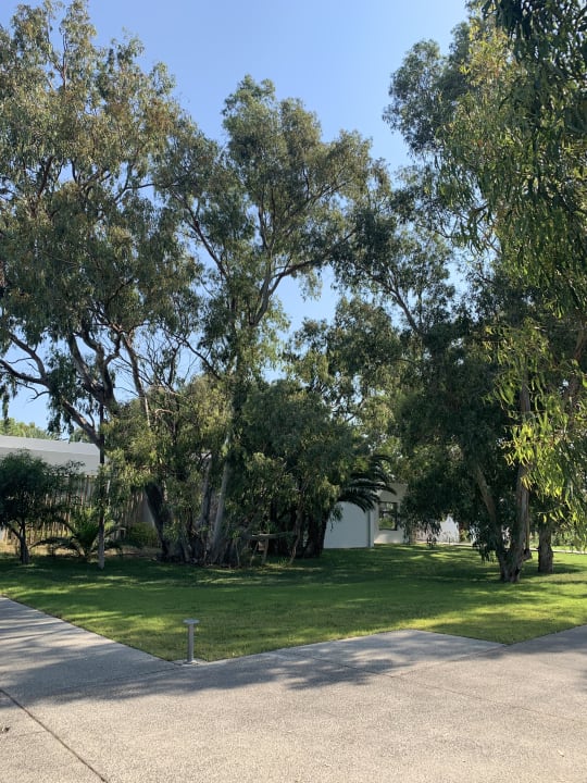 Gartenanlage Caravia Beach Hotel