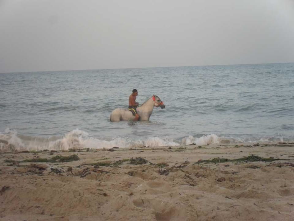 Widoki na plaży Zita Beach Resort