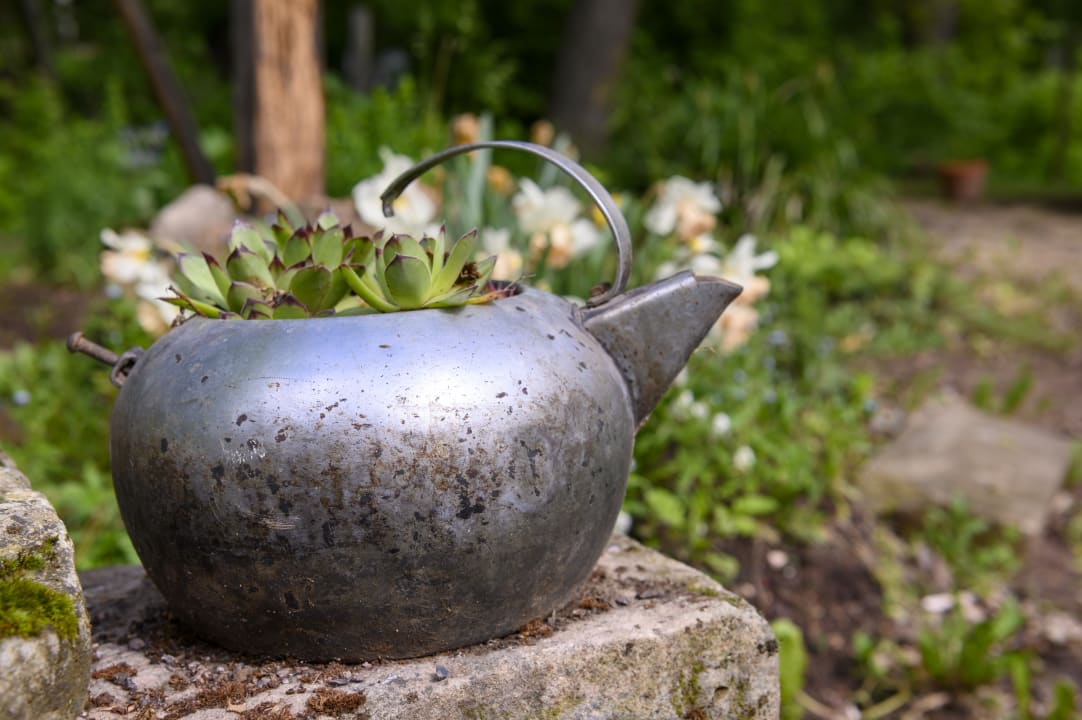 Gartenanlage Stiftsgut Keysermühle