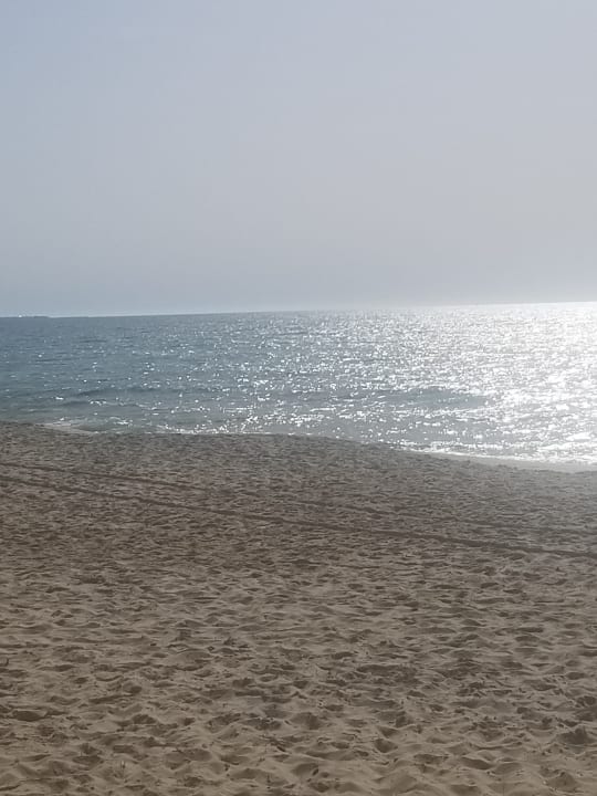 Strand Hotel Royal Nozha