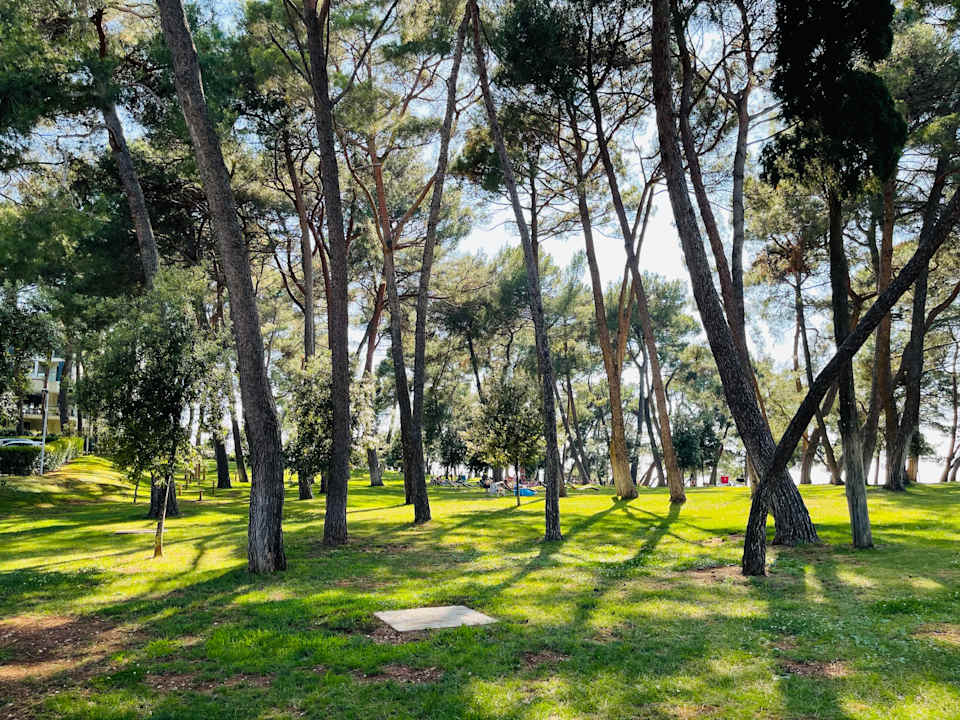 Gartenanlage Hotel Parentium Plava Laguna
