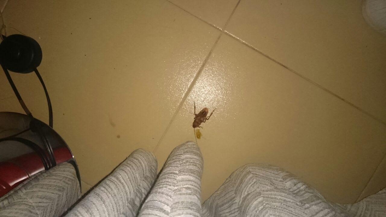 Zimmer SBH Costa Calma Beach Resort