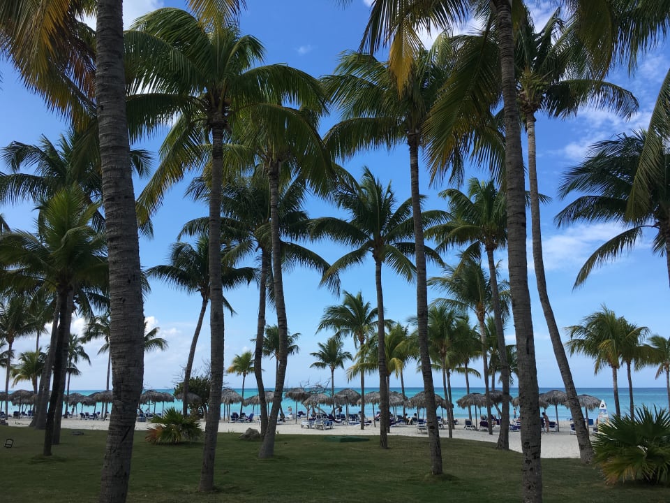 Strand Paradisus Varadero Resort & Spa