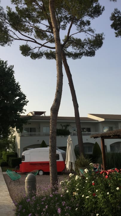 Gastro Prinsotel La Dorada